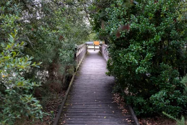 Parc Jozereau de Pessac (11).